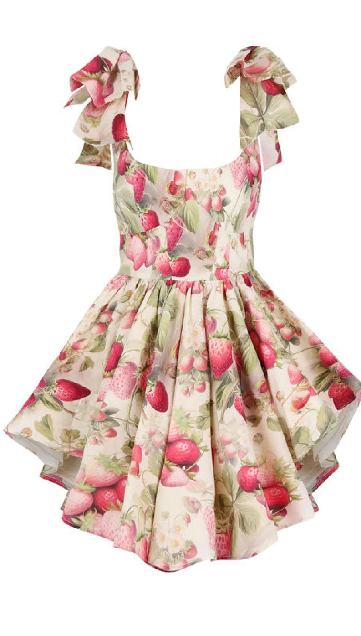 Strawberry Farmers Market Dress